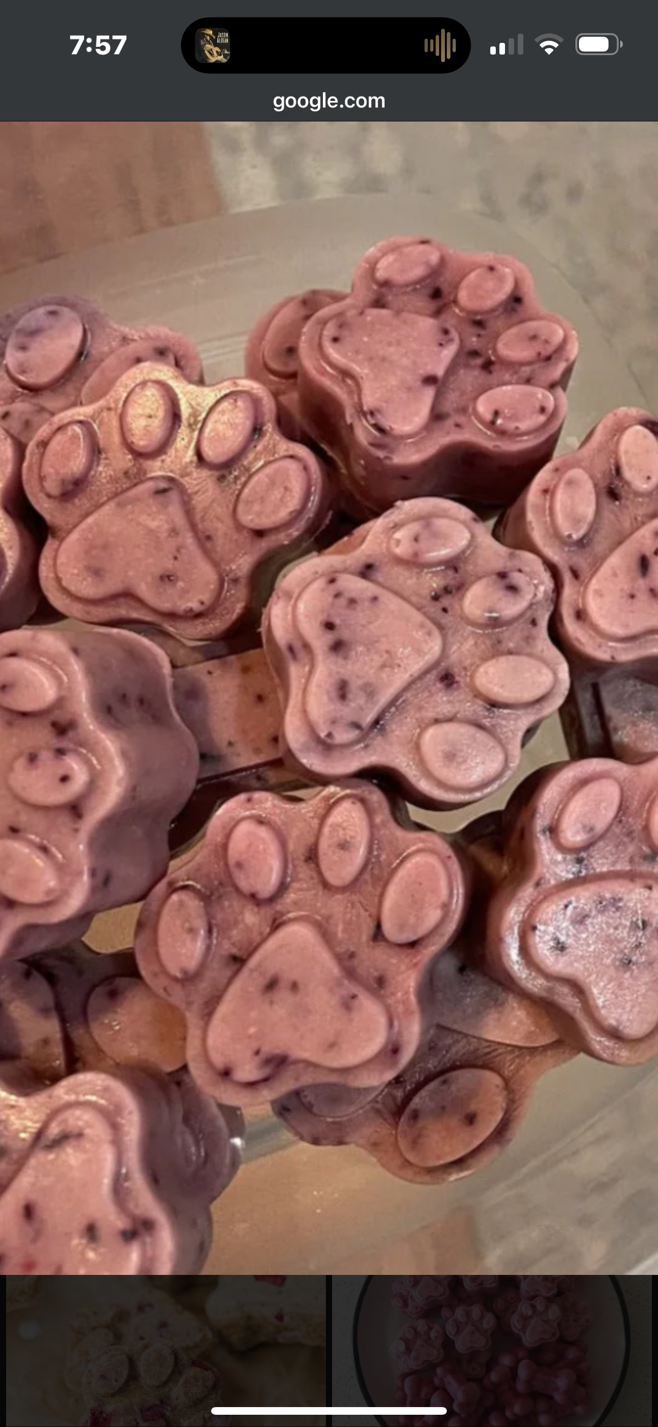 Frozen or Jello Treats