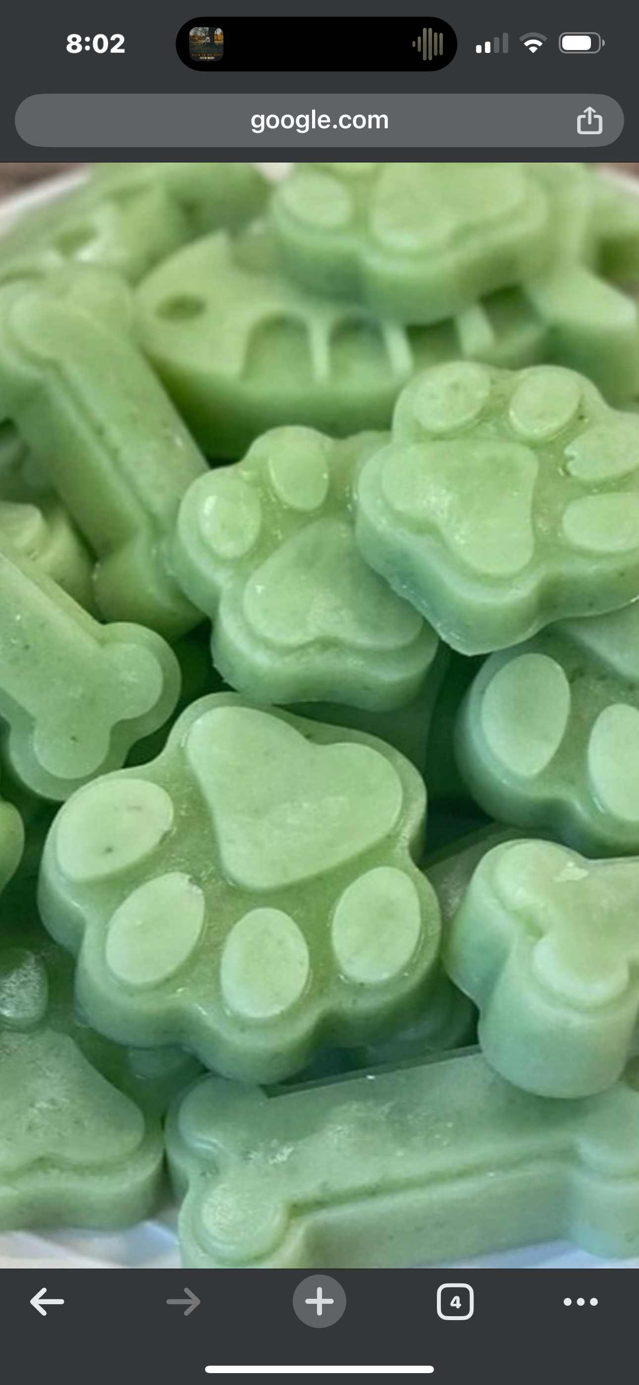 Frozen or Jello Treats
