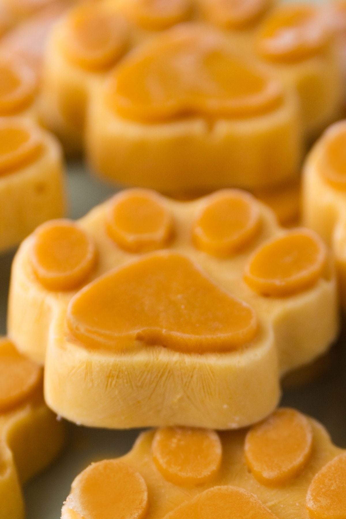 Frozen or Jello Treats